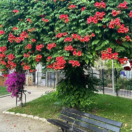 Apartment Quiet Modern In The Very Heart Of